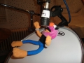 Studio 0007